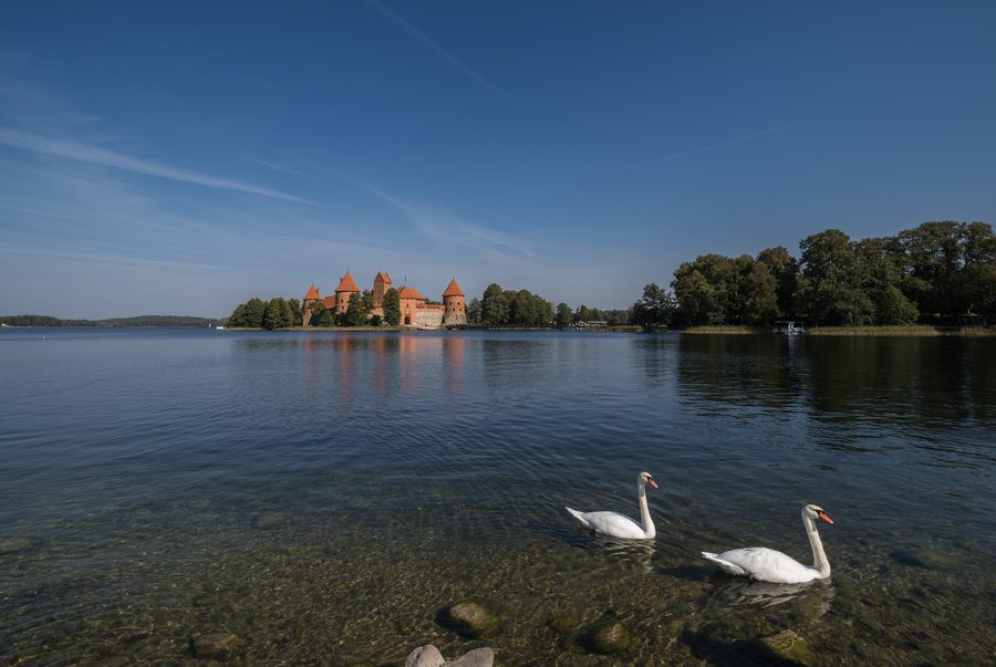 Le château insulaire de Trakai se trouve sur une île dans le lac Galvė, en Lituanie.