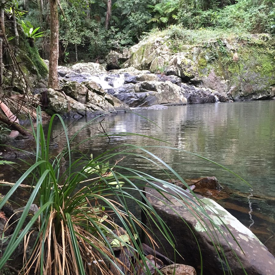 Bassins rocheux inférieurs de Gwongoorool sur la rivière Nerang dans le parc national de Springbrook, dans l’arrière-pays de la Gold Coast