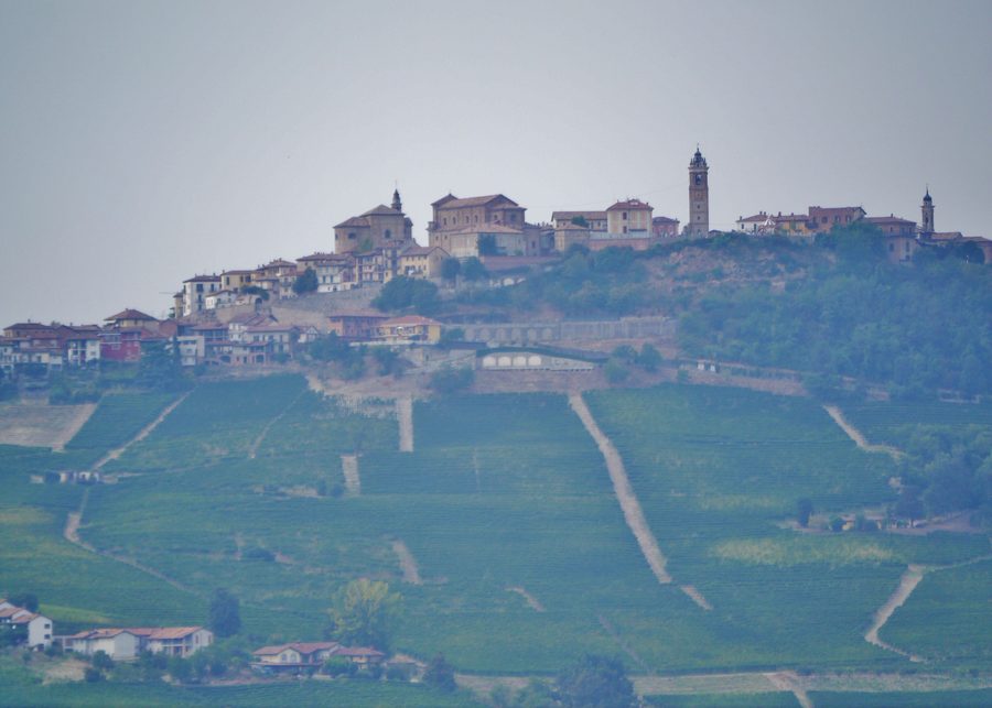 Paysage des Langhe entre Monforte d'Alba et La Morra dans le Piémont, Italie