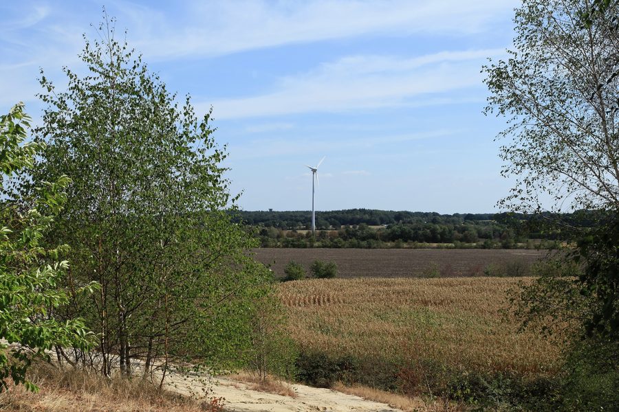Vue depuis le Sandberg vers la forêt de Surwold sur la Neubörgerstraße à Surwold