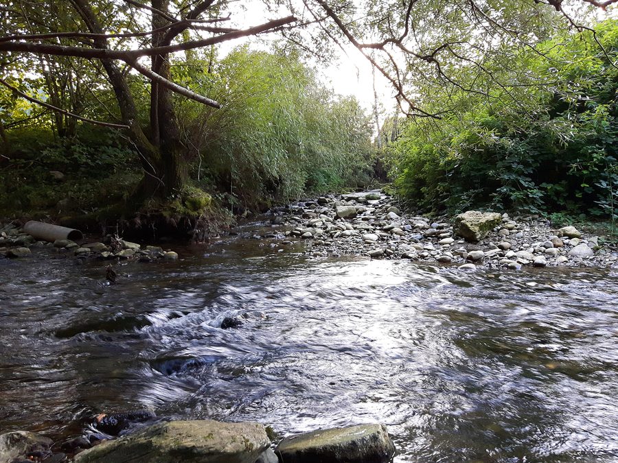 Confluence du Rummelbach avec la Reppisch