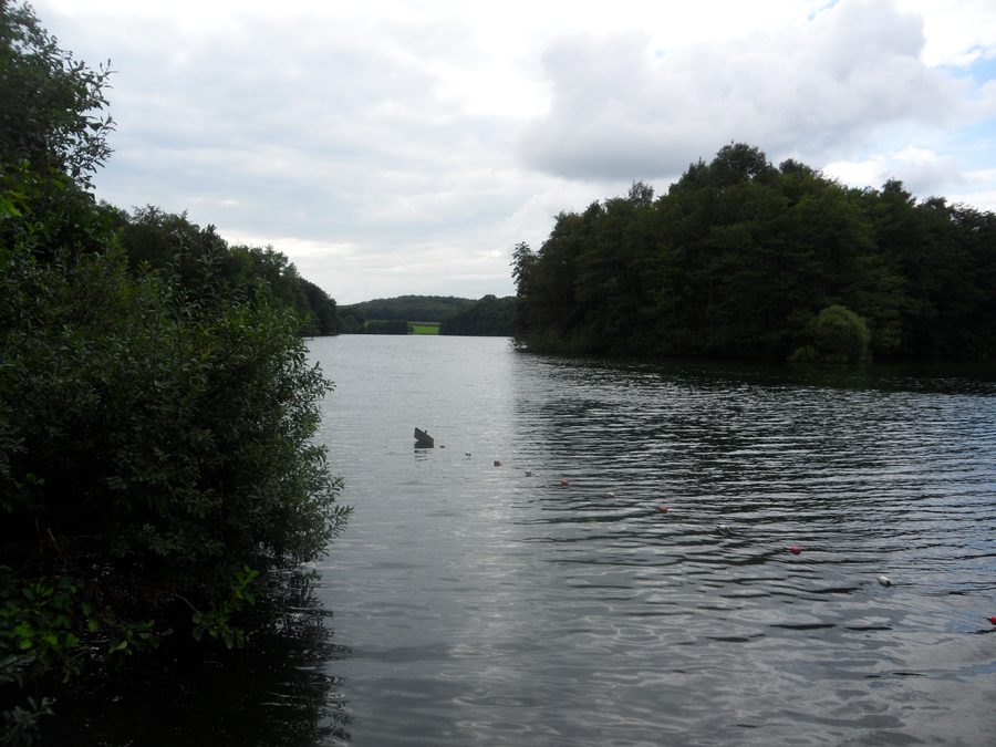 Stocksee dans le Schleswig-Holstein, Allemagne, avec la Lange Insel