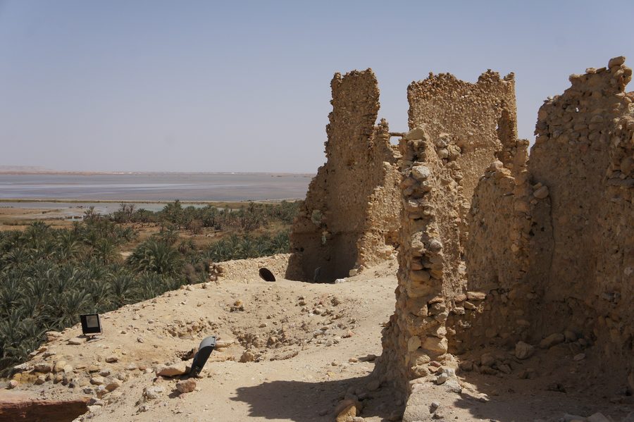 Vue depuis la colline d’Aghurmi sur le paysage de palmiers de l’oasis de Siwa