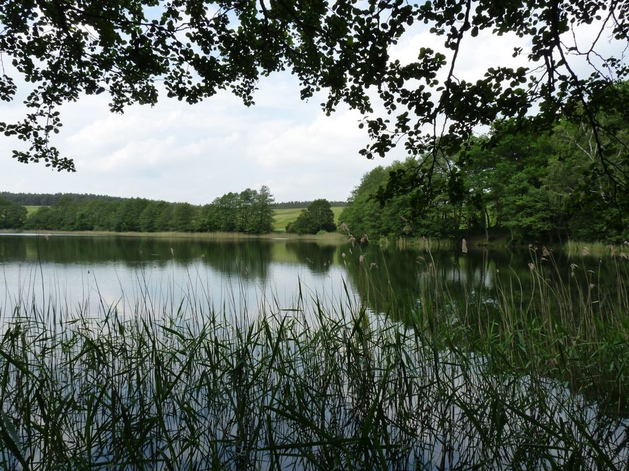 Le Glammsee près du village de Witzin en Mecklembourg-Poméranie-Occidentale