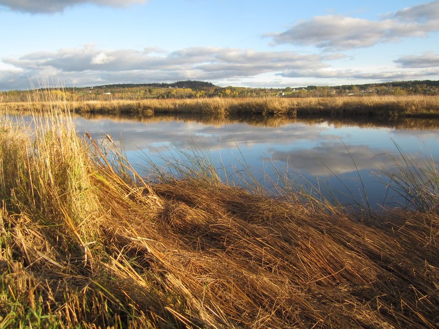 Antigonich Landing en automne avec paysage fluvial et sentier au bord de l’eau