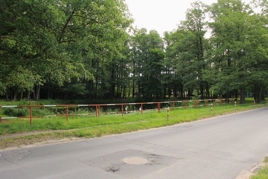Étang dans la rue Olszynowa à Przeźmierowo