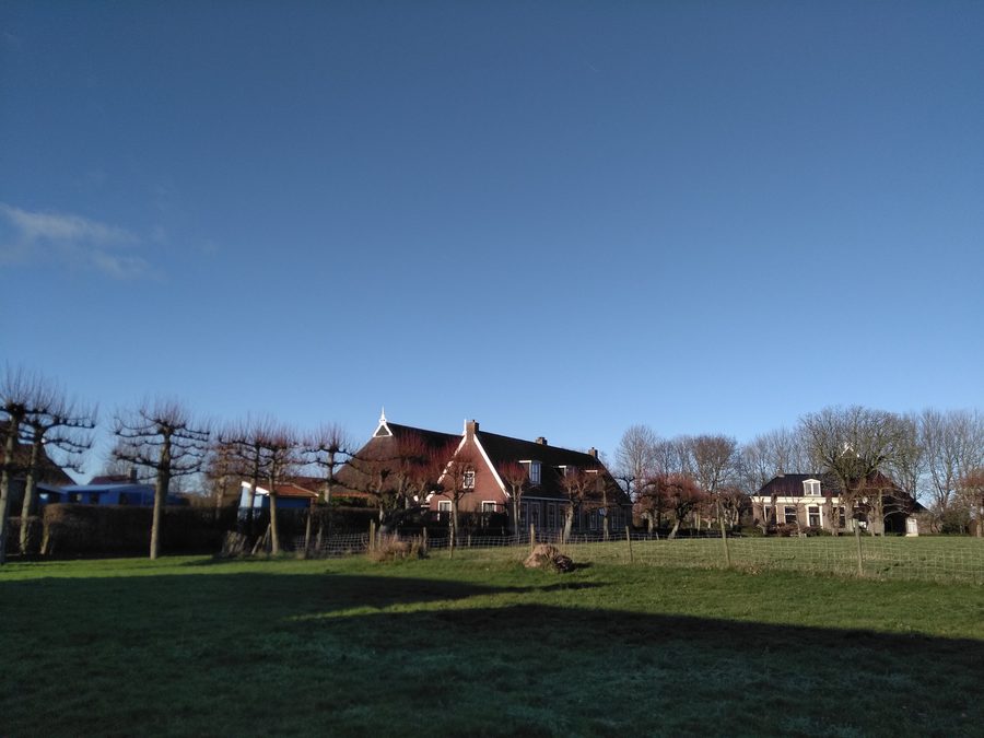 Maisons sur le terp de Niawier en Noardeast-Fryslân