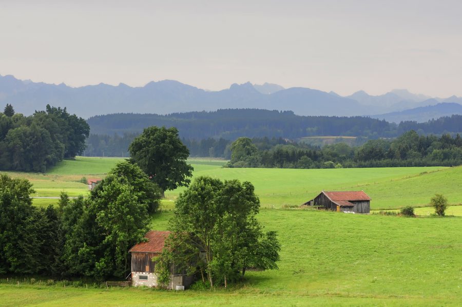 Paysage dans le Pfaffenwinkel avec chemin et environnement à vocation agricole