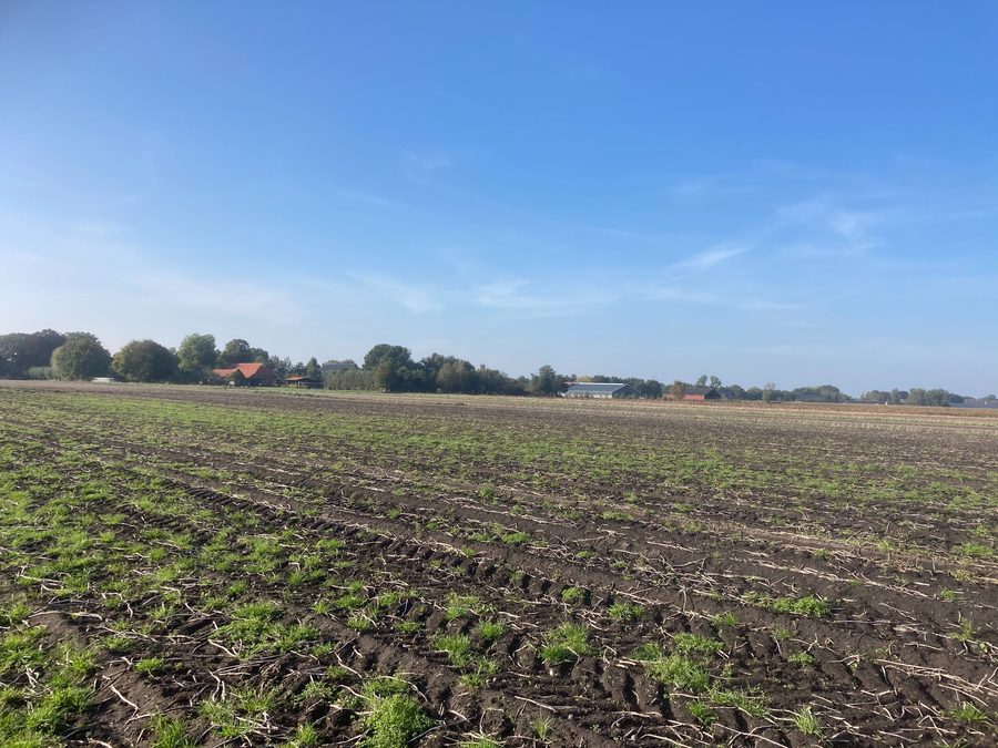 Zone de remise en culture des terres tourbeuses et de rétention d’eau près de Nieuwlande