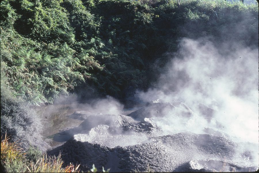 Paysage à dominante géothermique dans la région de Rotorua, en Nouvelle-Zélande.