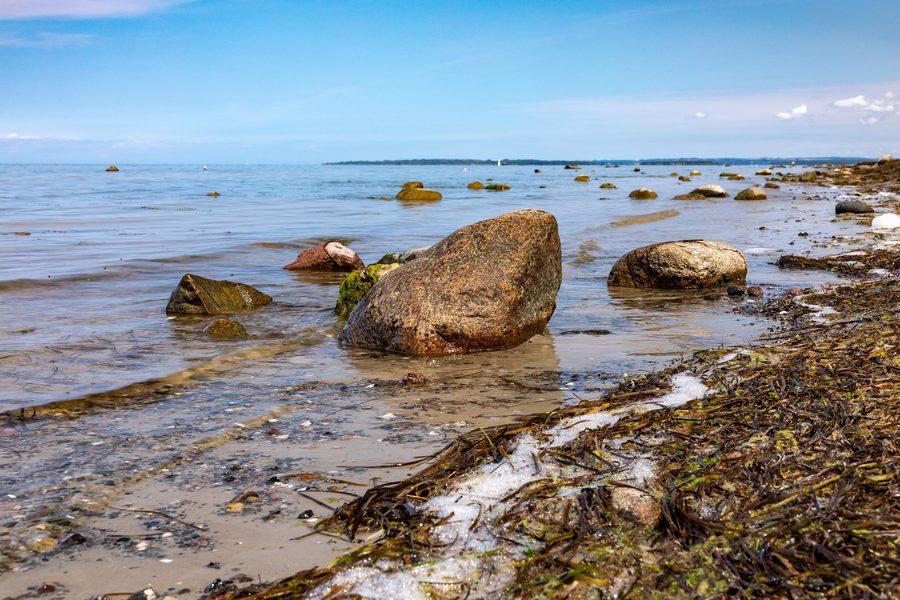 Falaise abrupte près de Kaltenhof sur l’île de Poel