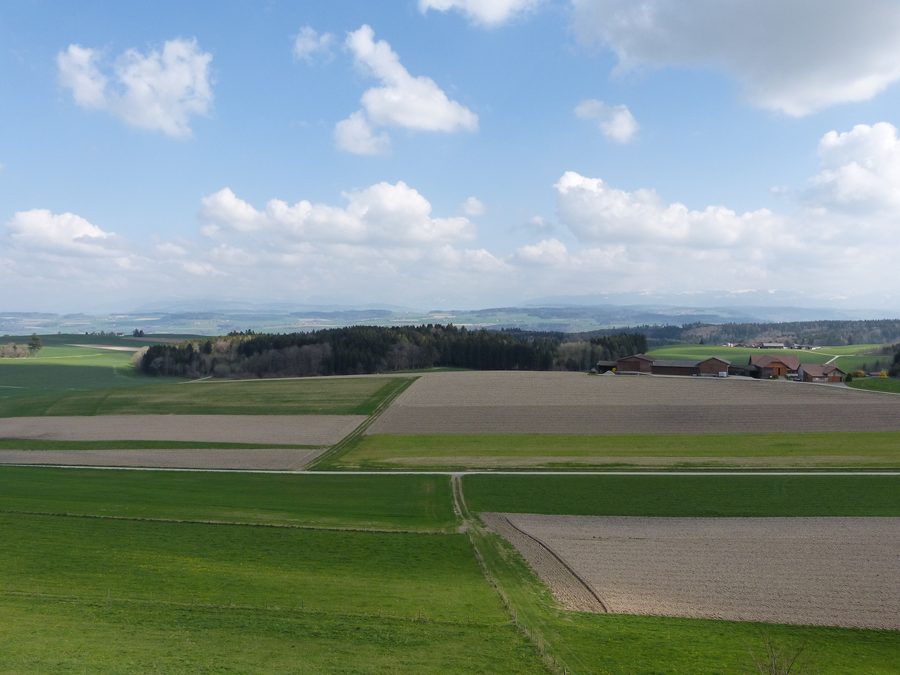 Vue panoramique du paysage du Gros-de-Vaud avec les Alpes en arrière-plan