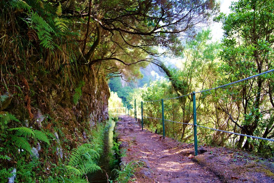Chemin de levada à travers le paysage de Madère