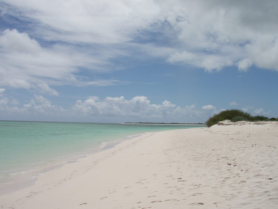 Anegada