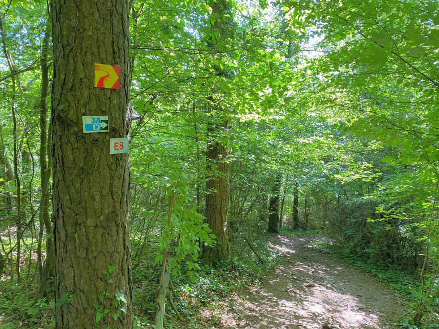 Paysage sur le sentier panoramique de l’Altmühltal près d’Obereichstätt