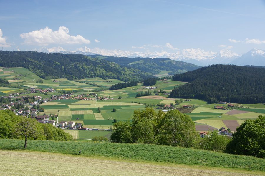 Paysage près de Ballenbüel à Konolfingen avec vue sur l’espace alpin bernois