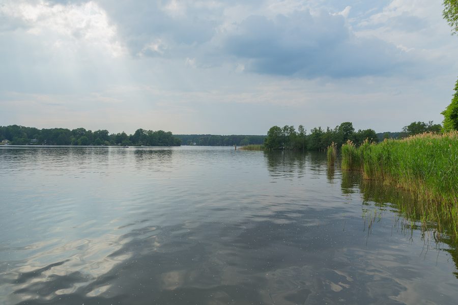 Paysage des rives du lac de Teupitz dans le district de Dahme-Spreewald en Brandebourg