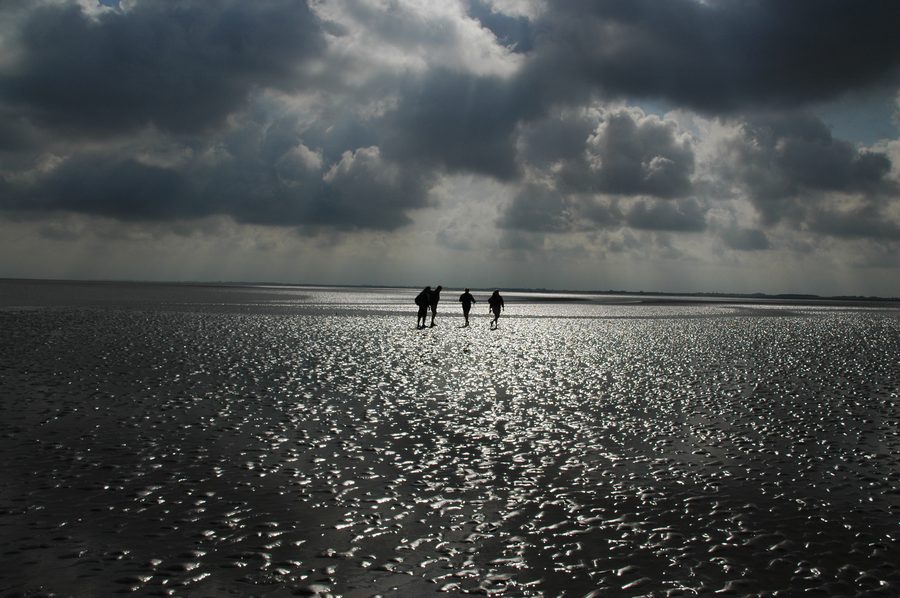 Randonnée sur l’estran à Ameland