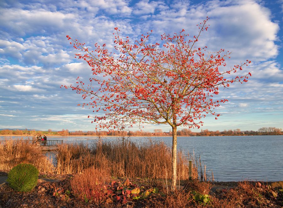 Réserve naturelle du lac Seeburger entre Göttingen et Duderstadt dans la partie inférieure de l’Eichsfeld