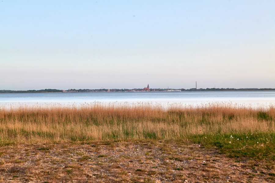 Vue depuis Zingst sur le Barther Bodden dans le parc national du Bodden de Poméranie occidentale
