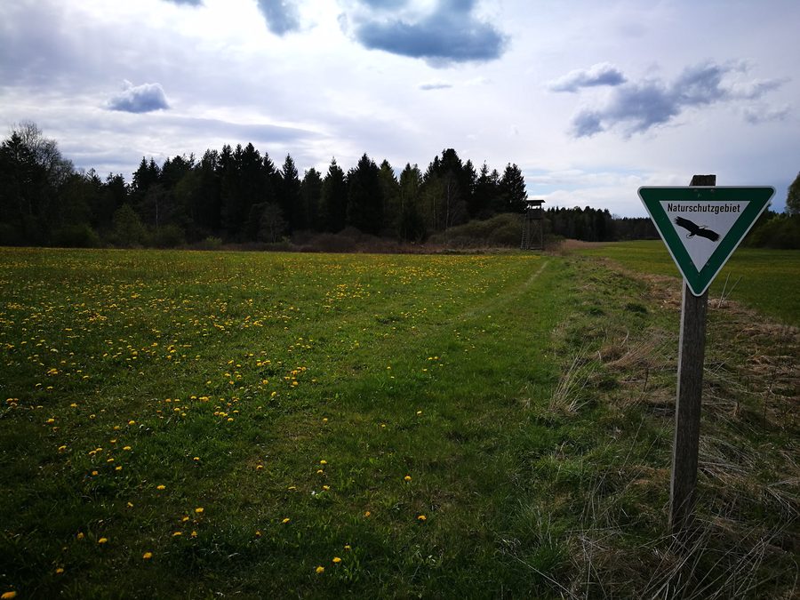 Réserve naturelle de Waltere Moor près de Sauldorf avec paysage de tourbière et végétation