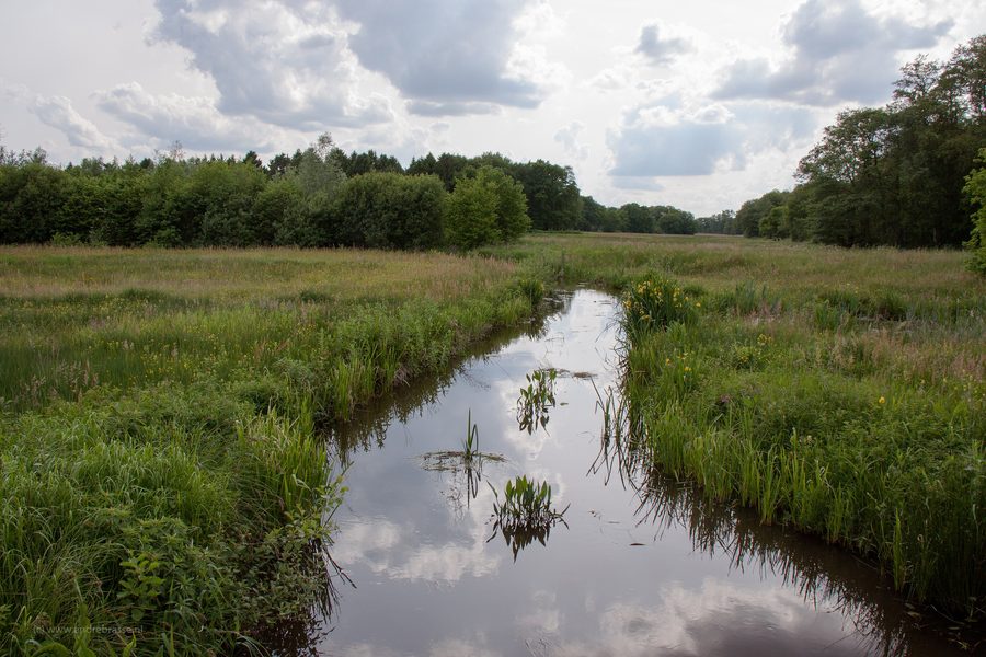 Paysage rural dans le parc national de Drentsche Aa.