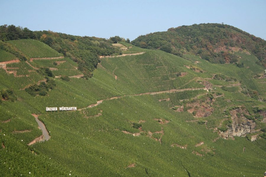 Parcelle viticole Ürziger Würzgarten près de Bernkastel-Kues