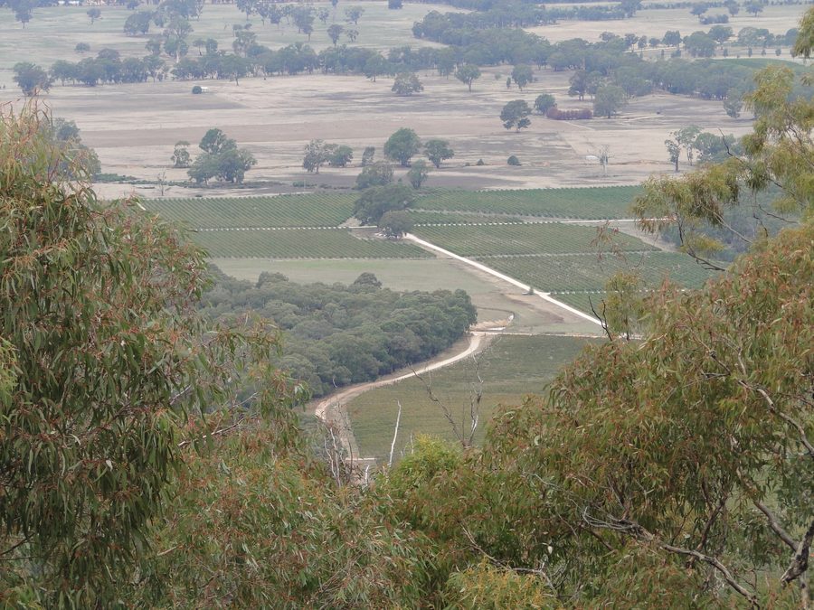 Vignobles près d’Avoca dans le Victoria avec vue depuis les Pyrenees Ranges
