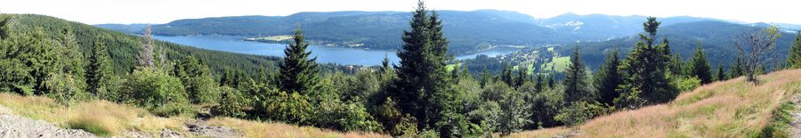 Vue sur le Schluchsee dans la Forêt-Noire avec des rives boisées