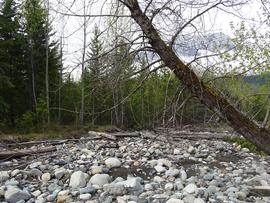 Paysage de rive au bord du lac Slocan près de New Denver avec des montagnes en arrière-plan