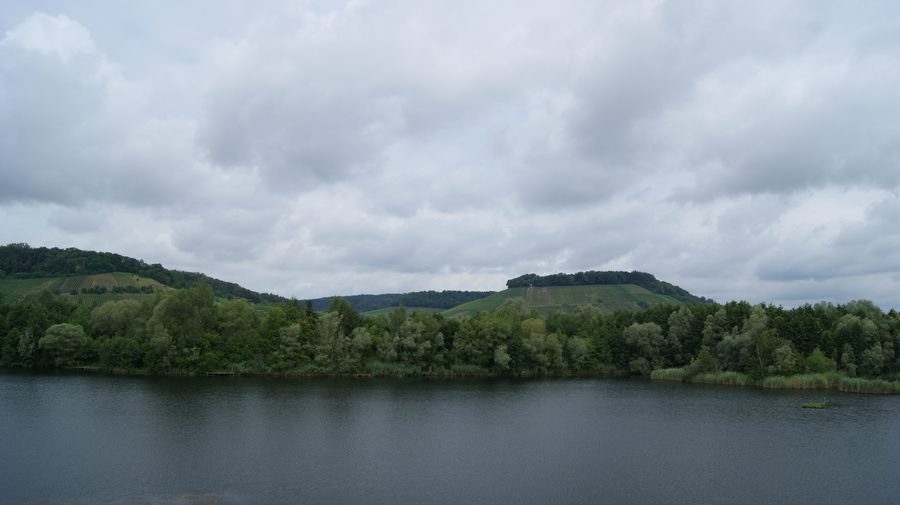 Vue sur le paysage de la Moselle près de Remerschen au Luxembourg