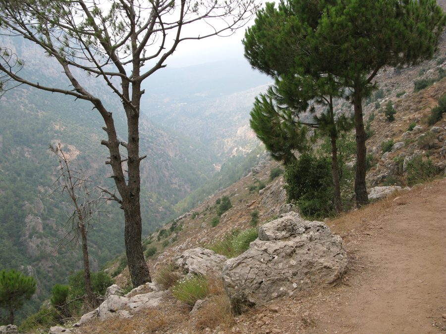 Route vers le complexe monastique de Qozhaya dans la vallée de Qadisha