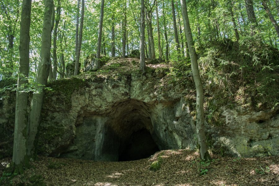 Entrée de la grotte Bettelküche près de Neukirchen bei Sulzbach-Rosenberg