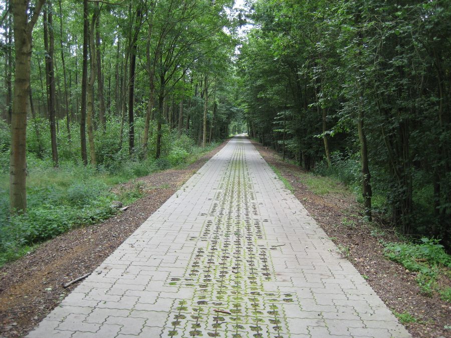 Piste cyclable de la Dahme entre Glashütte et Friedrichshof