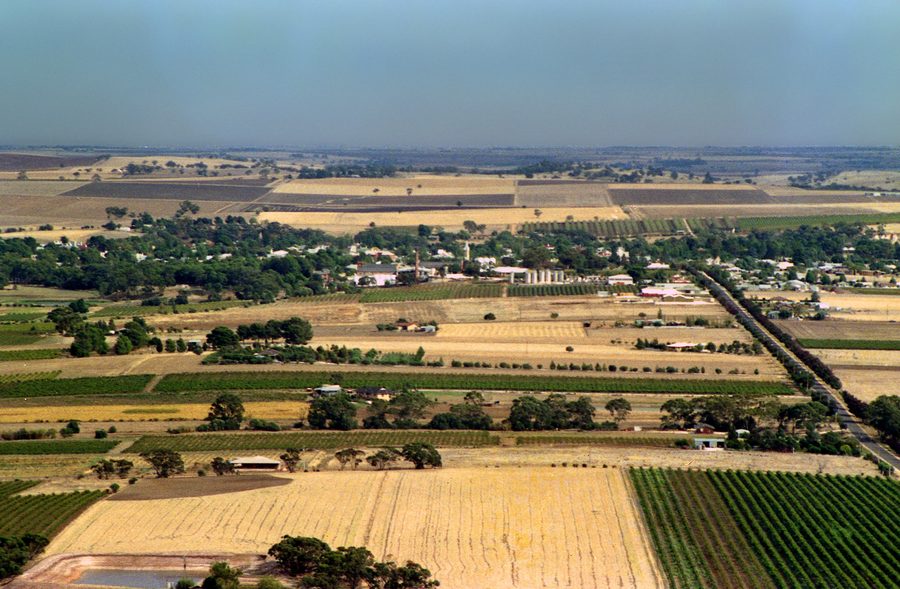 Vignobles dans la Barossa Valley en Australie-Méridionale