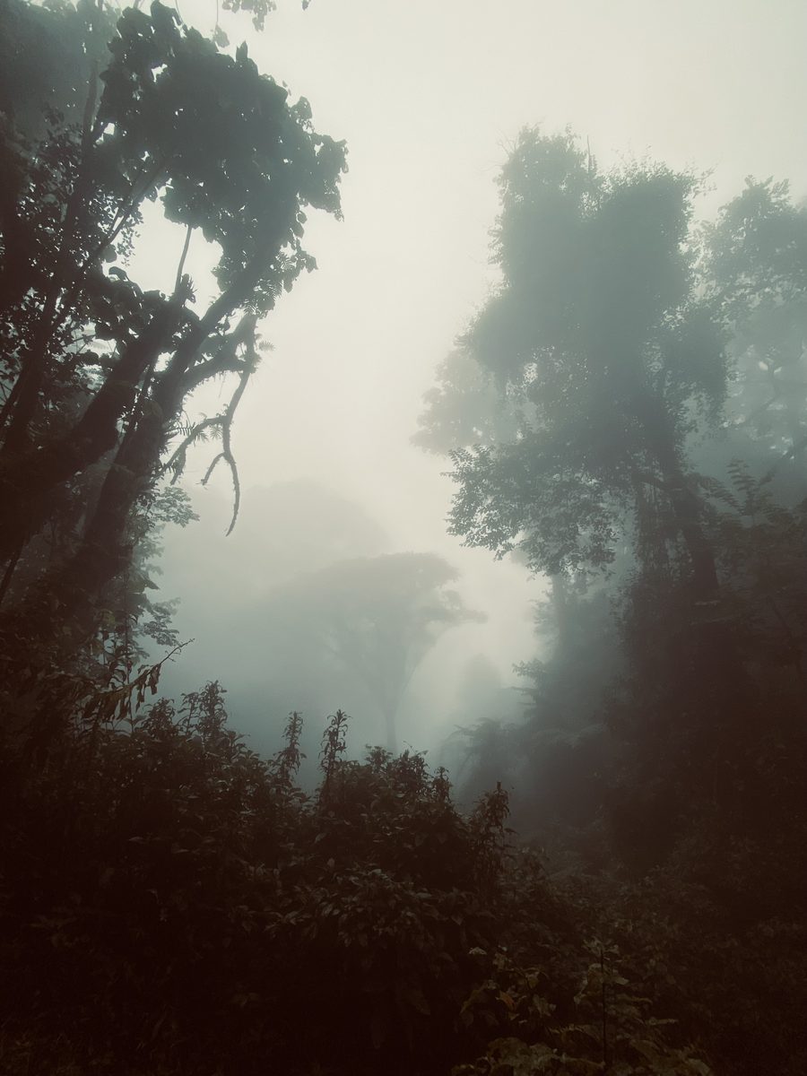 Paysage de montagne brumeux