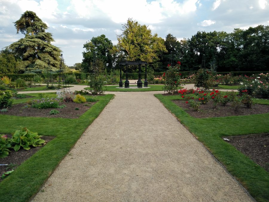 Roseraie dans le Corkagh Park à Clondalkin, Dublin