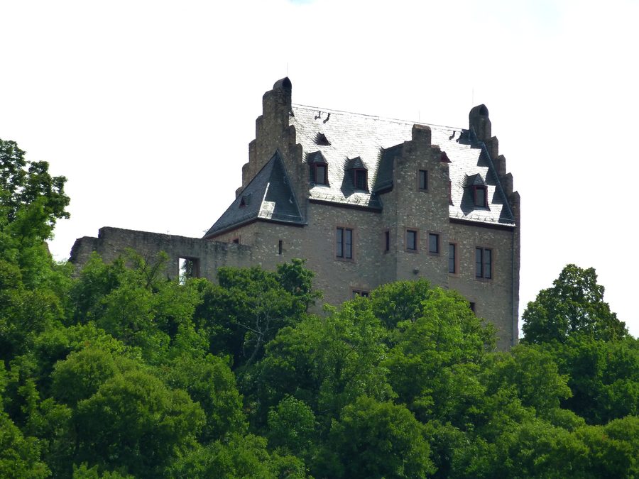 L’Altenbaumburg près d’Altenbamberg sur une colline boisée