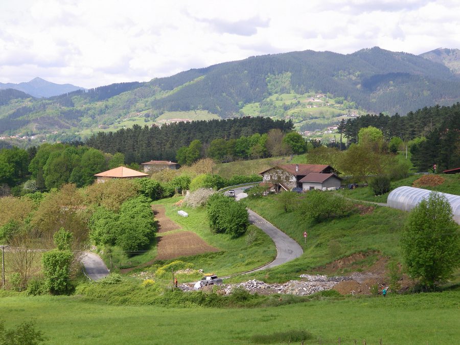 Paysage rural avec maisons de ferme, arbres et prairies à Igorre, Bizkaia