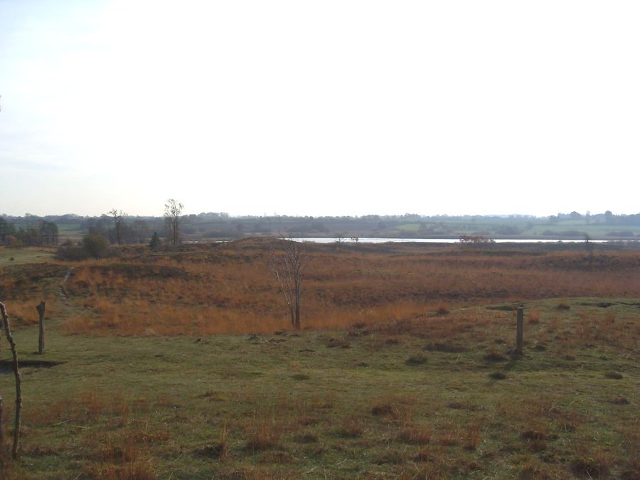 Vue depuis la dune du Treßsee sur le Treßsee dans la réserve naturelle