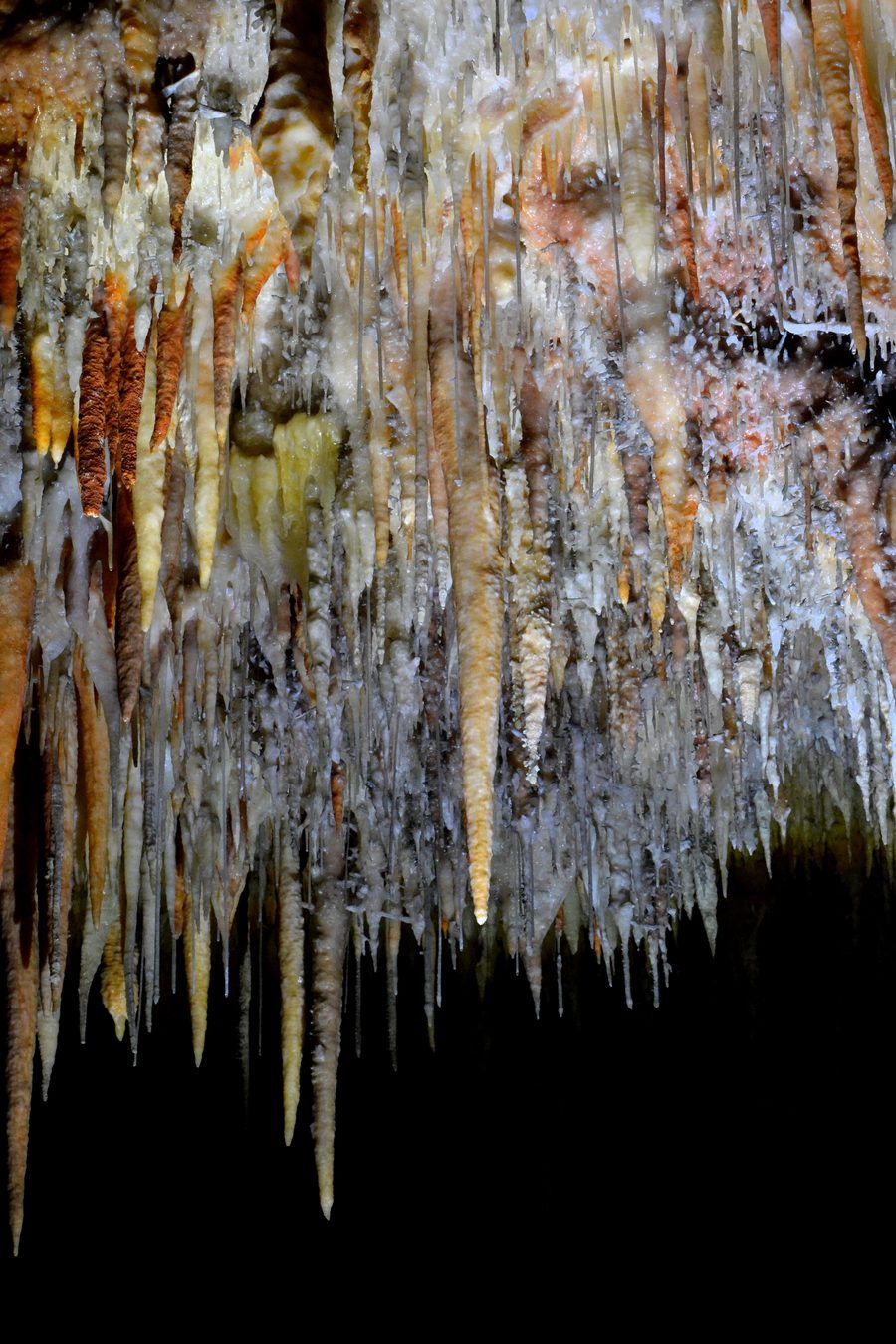 Stalactites dans la Jillabenan Cave près de Yarrangobilly dans le parc national de Kosciuszko