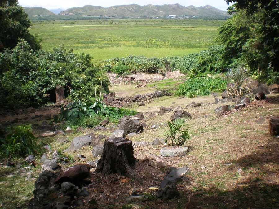 Vue de jardin à travers Kawai Nui Marsh vers Ulupō Heiau à Kailua, Hawaï