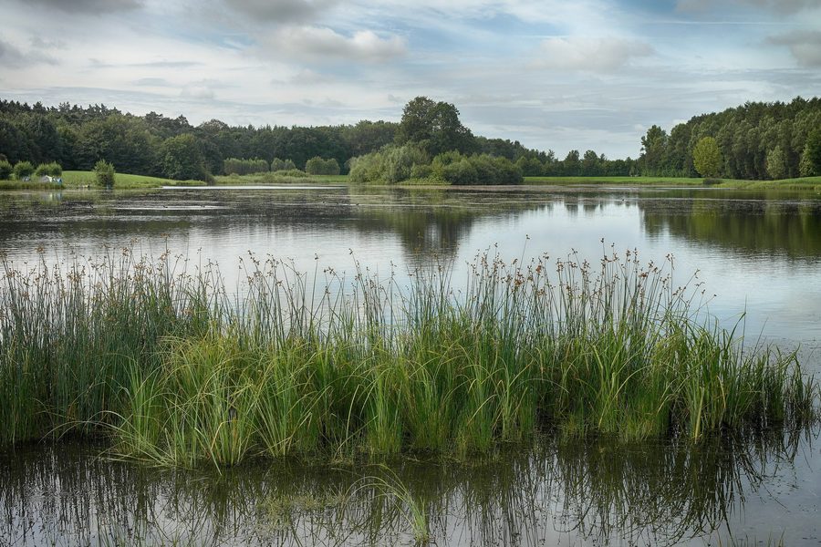 Le Kleihügelsee dans l’ancienne commune d’Espelkamp