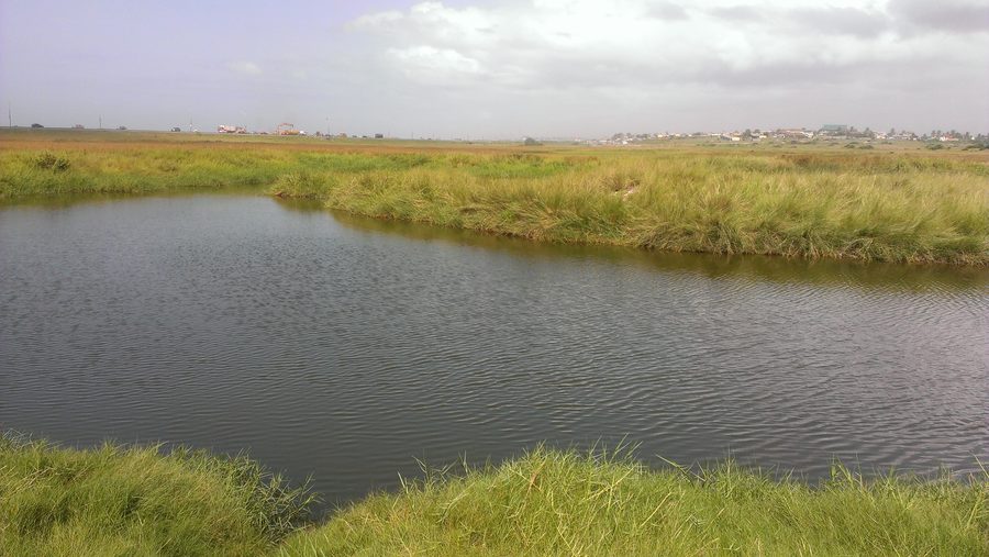 Zone humide du site Ramsar de Sakumono le long de la Tema Beach Road au Ghana