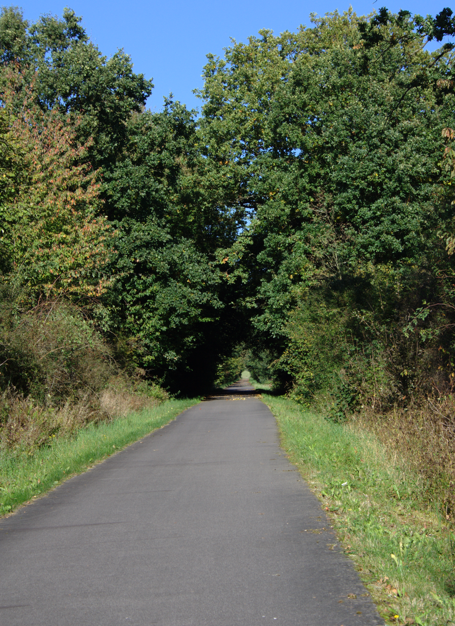 Piste cyclable Vulkanradweg sur l’ancienne voie ferrée entre Ilbeshausen et Herbstein