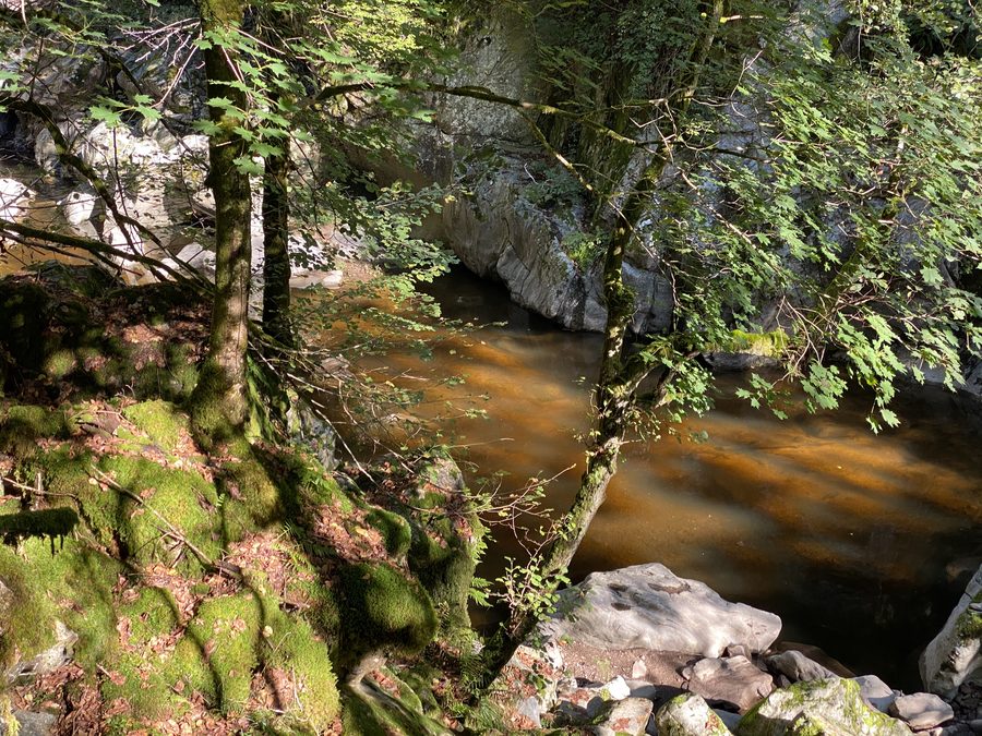 Paysage près de Schachen dans le district de Waldshut avec des hauteurs boisées et des prairies dégagées