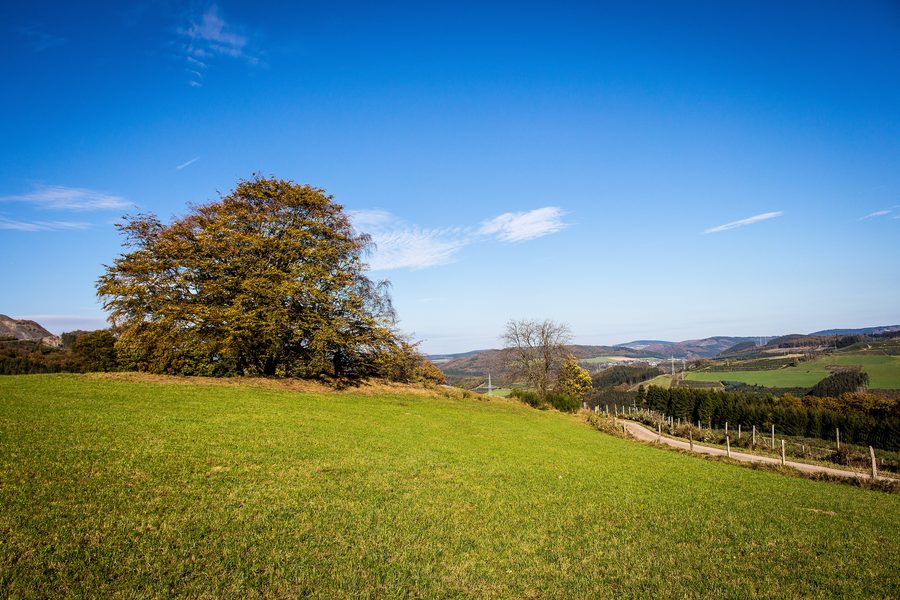 Paysage du Sauerland avec vallée de ruisseau près de Berlar à Bestwig