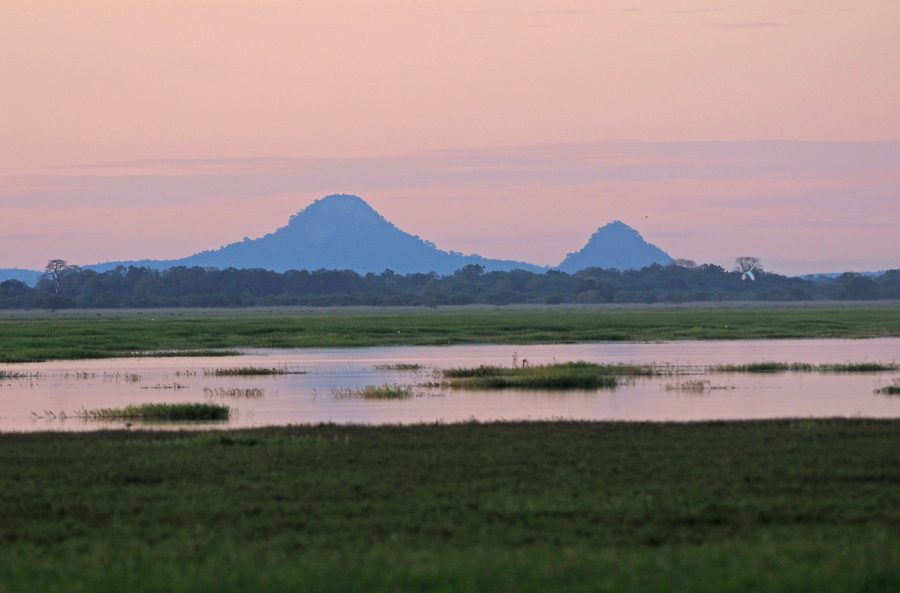 Mont Gorongosa dans le parc national de Gorongosa au Mozambique