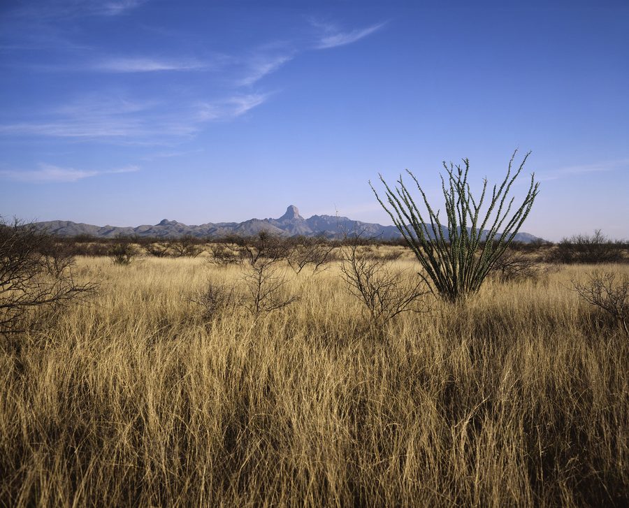 Paysage dans le Buenos Aires National Wildlife Refuge, dans le sud de l’Arizona