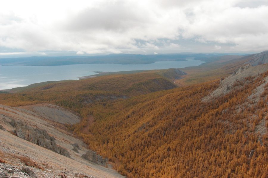 Paysage au bord du lac Khövsgöl en Mongolie